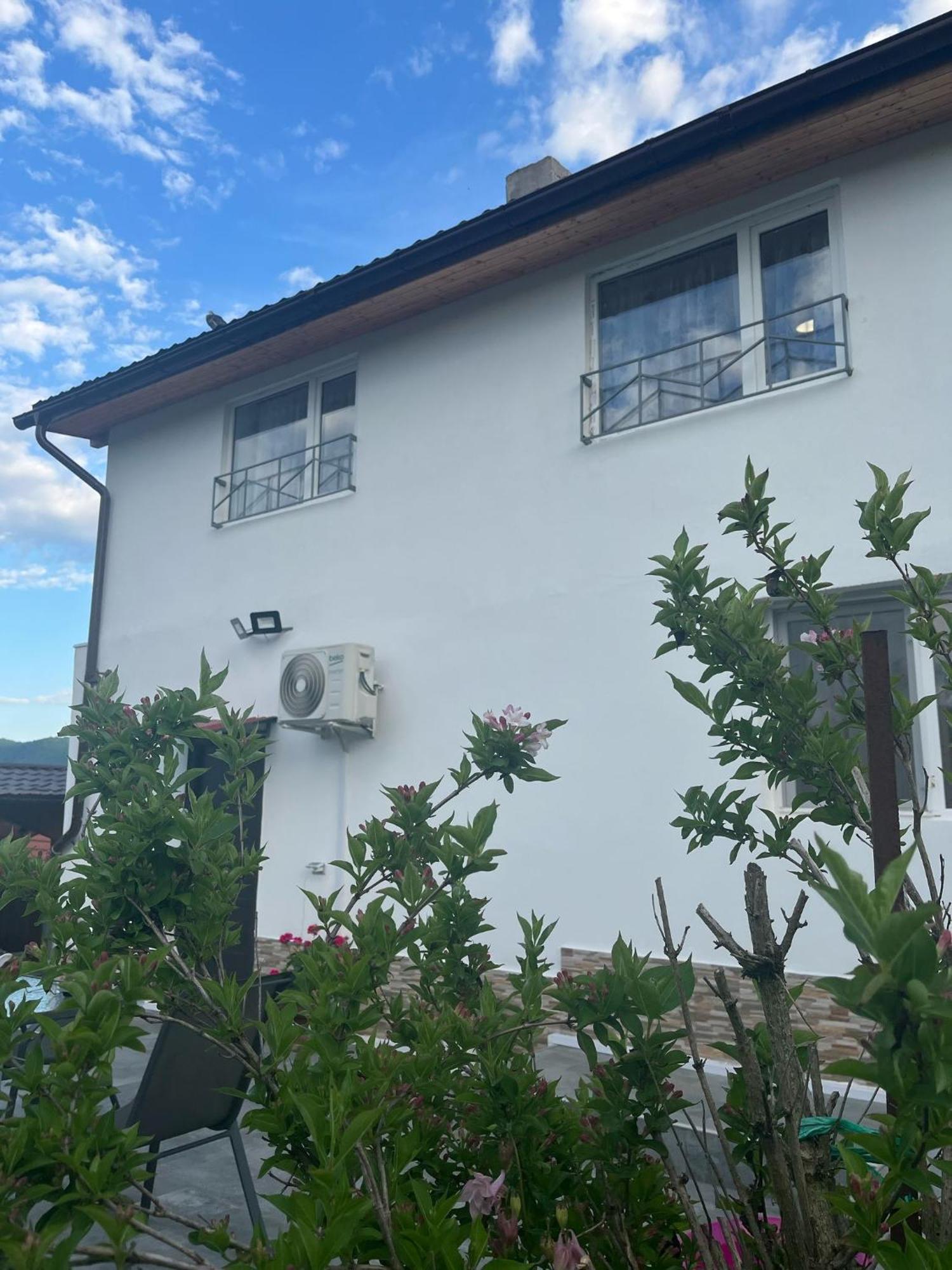 Ferienwohnung Casa Anna&Criss Orşova Exterior foto